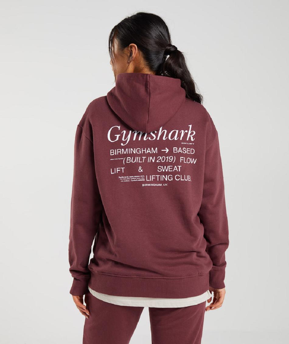 Bluzy Z Kapturem Damskie Gymshark Social Club Oversized Różowe Brązowe | PL 2722XYU